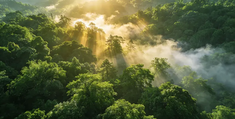 宝鸡肺癌120基因ctDNA突变检测(血液）图片1