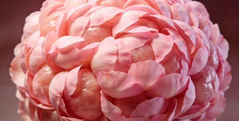 宝鸡BRCA1/2乳腺癌卵巢癌基因检测图片1